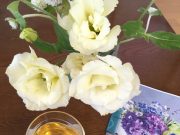 モーニングページが生活に欠かせない理由①