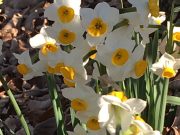 ときめく空間を作るのはむずかしくない