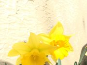 溜まった家計簿がストレスから楽しみに変わったヒミツ