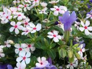 毎日お掃除する人生の作り方