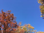 自己肯定感を下げない部屋着選びを