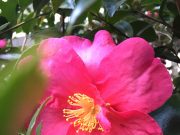 メルマガを1年ぶりに再開しました