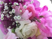 モノと私の不思議な関係