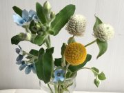 家族の習慣の作り方&新しい茶こしのこと